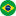 pt-BR